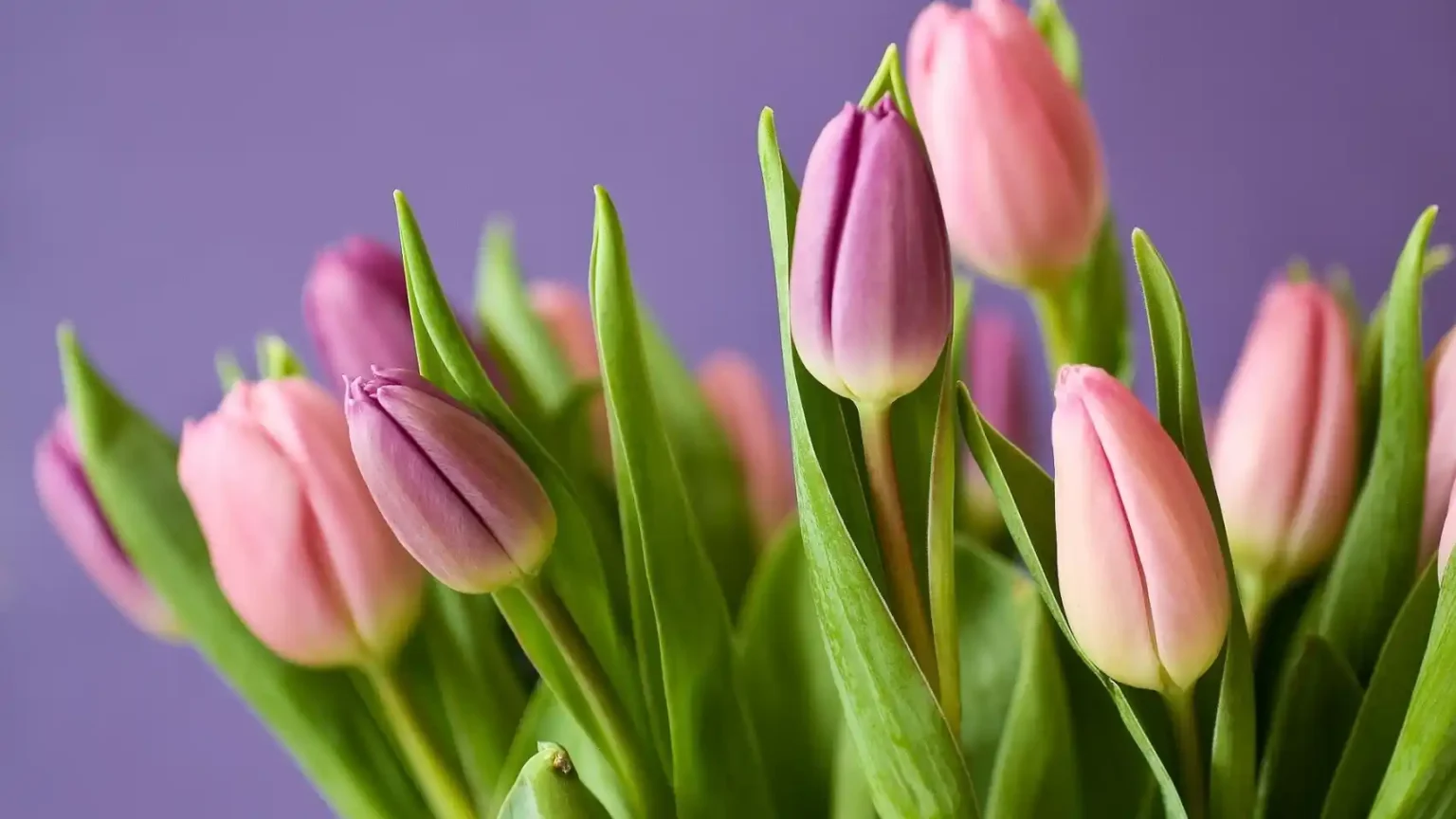 Flores para el día de la Madre